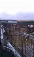 Cast In Place Rebar Walls