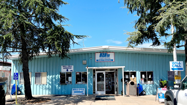 Front of a blue building with one pine tree